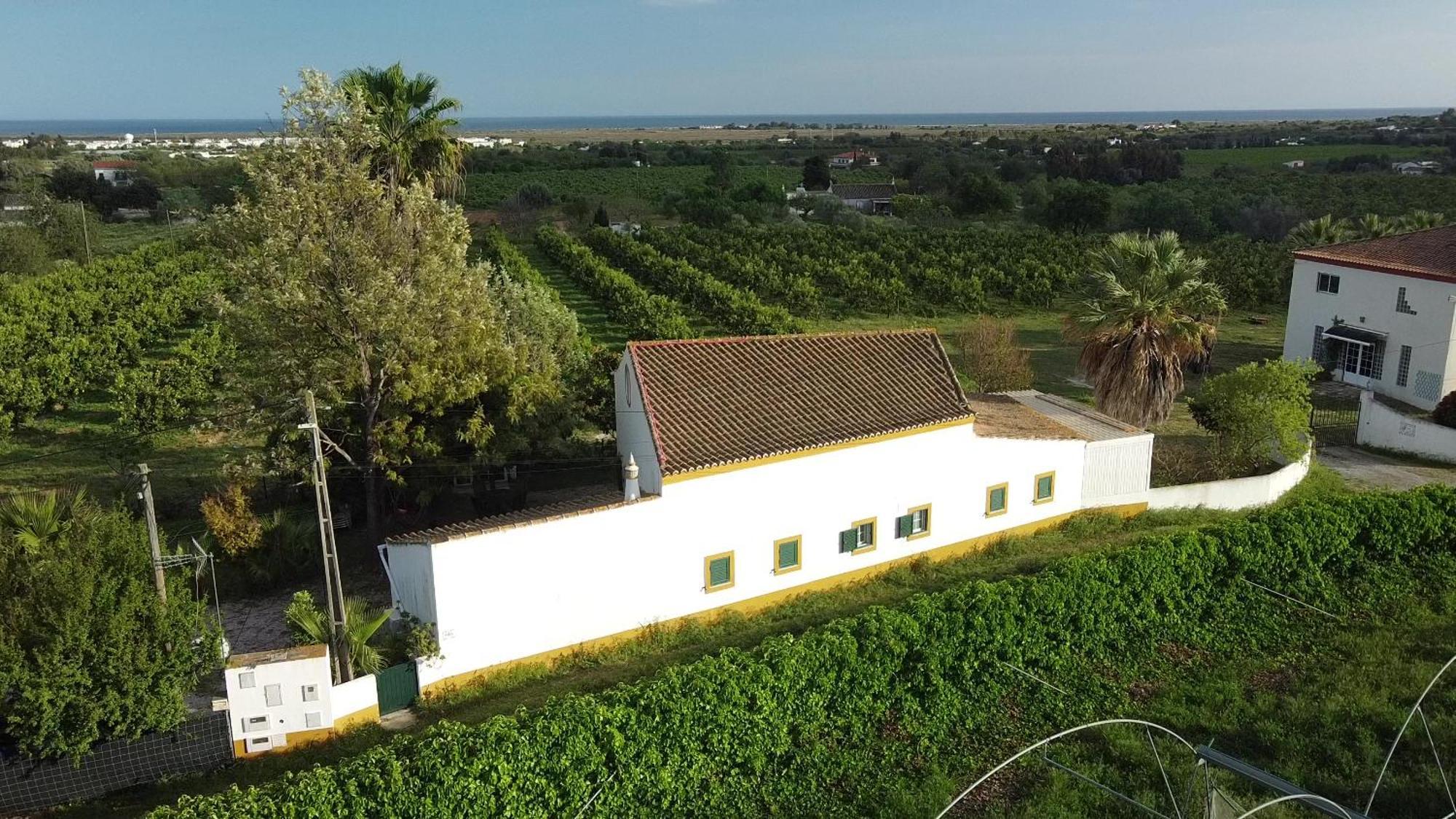 Hotel Quinta Rosa Branca Tavira Exterior foto